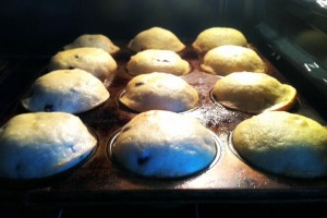 muffins
