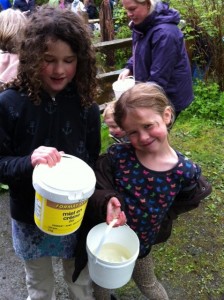 salmon release