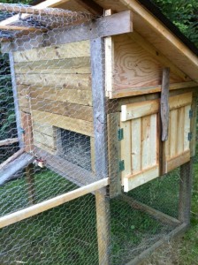bunny3 bunny hutch
