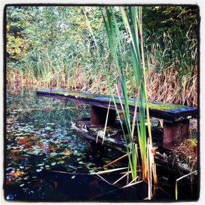 handmade diving board