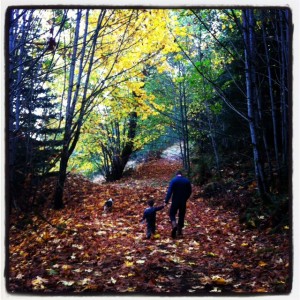 fall walk