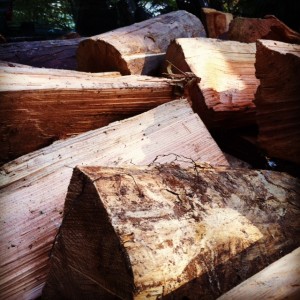 wood firewood