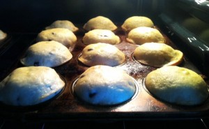 muffins