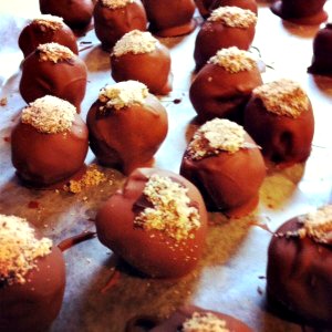 choc-haz-300x300