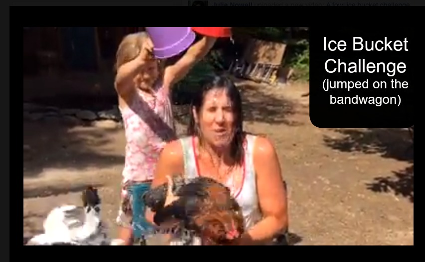 icebucket