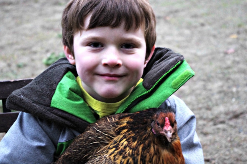 kids raising chickens, little boys growing up, 