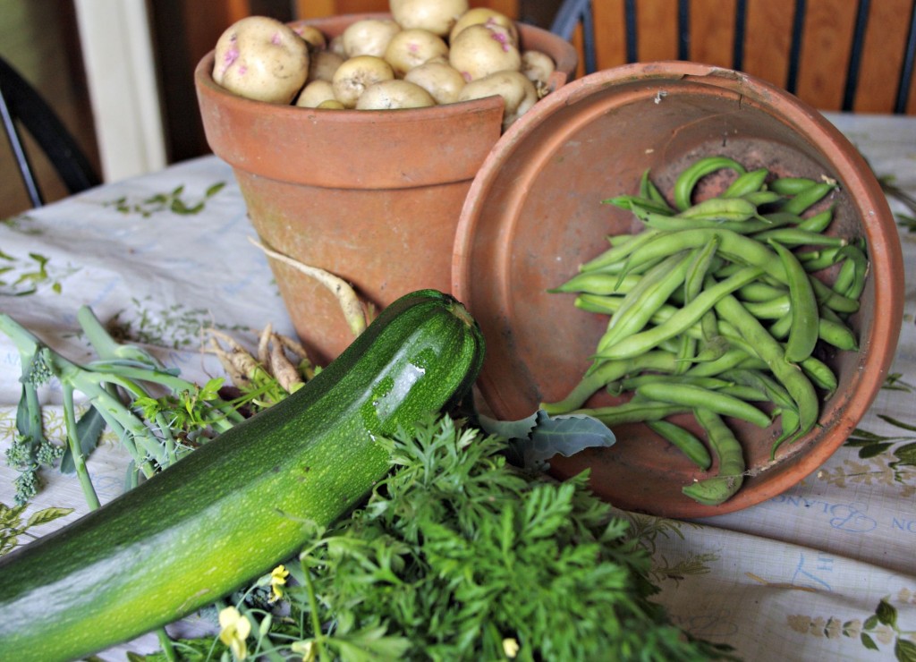 how to plant a garden, Expensive vegetables