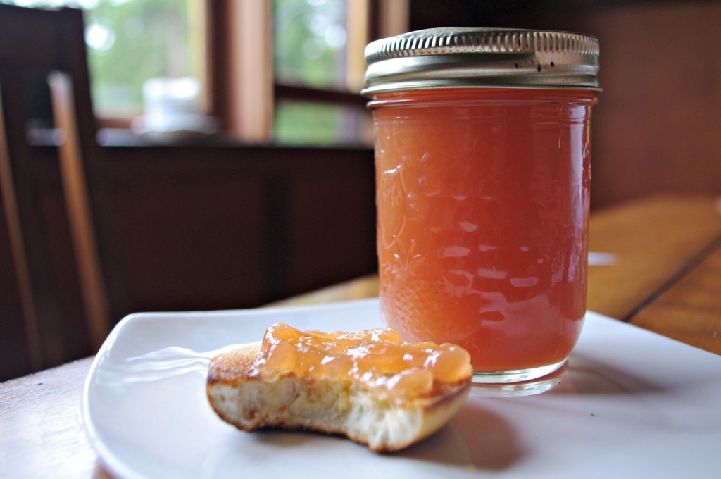 peach skin jelly, what to make from peach peel, peach pits,