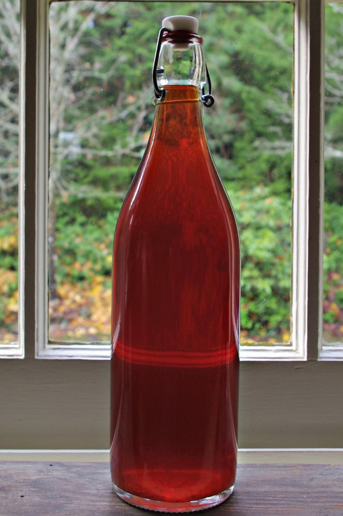 plums, plum recipes, leftover plums, overripe plums, homemade plum wine, homemade plum liqueur