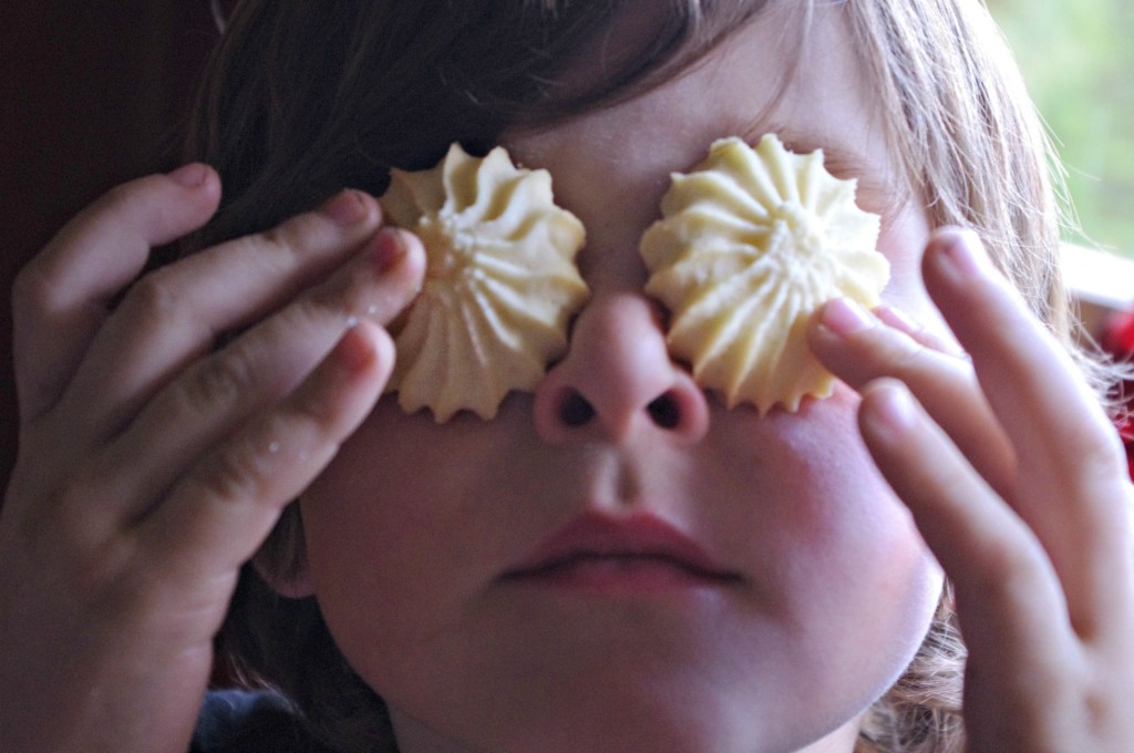 These are some of the holiday cookies my friends and I get tons of requests for. You're sure to find some new family favourites! | Christmas | FoodRetro.com