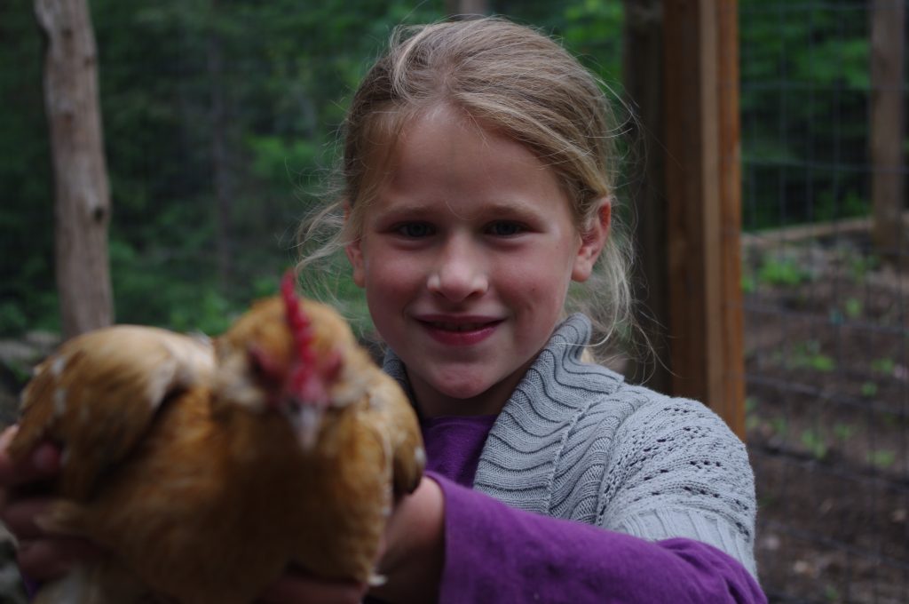 kids and chickens, kids raising chickens, bantam chickens 