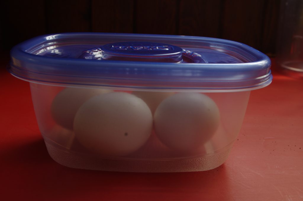 storing hard boiled eggs